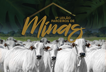 2º LEILÃO PARCEIROS DE MINAS
